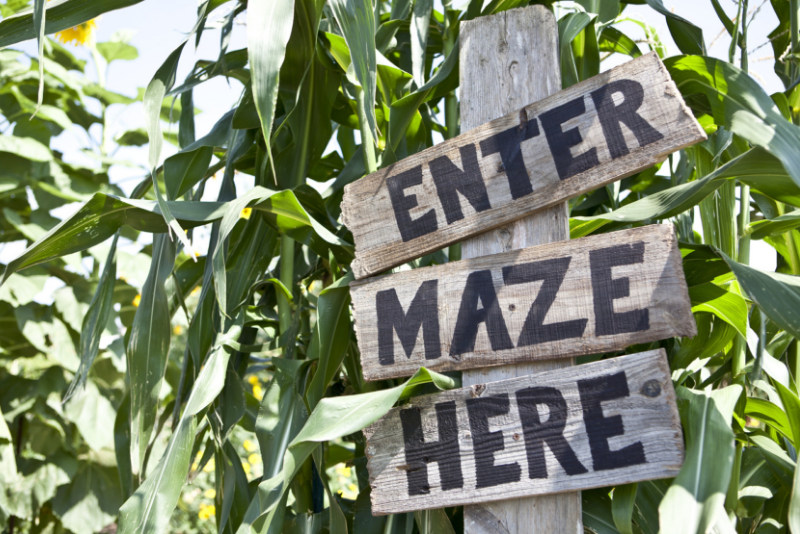 Amazing Maize Maze day trips from New York City