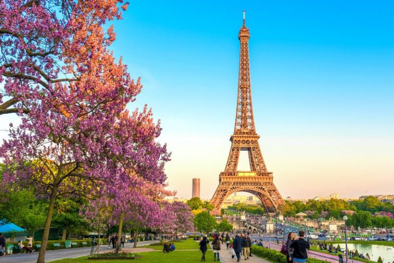 Eiffel Tower Tours in Paris - Which one is Best? - TourScanner