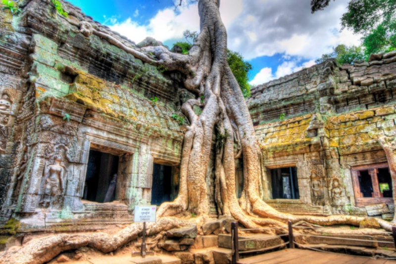 Angkor temples Indiana Jones - Angkor temples tours