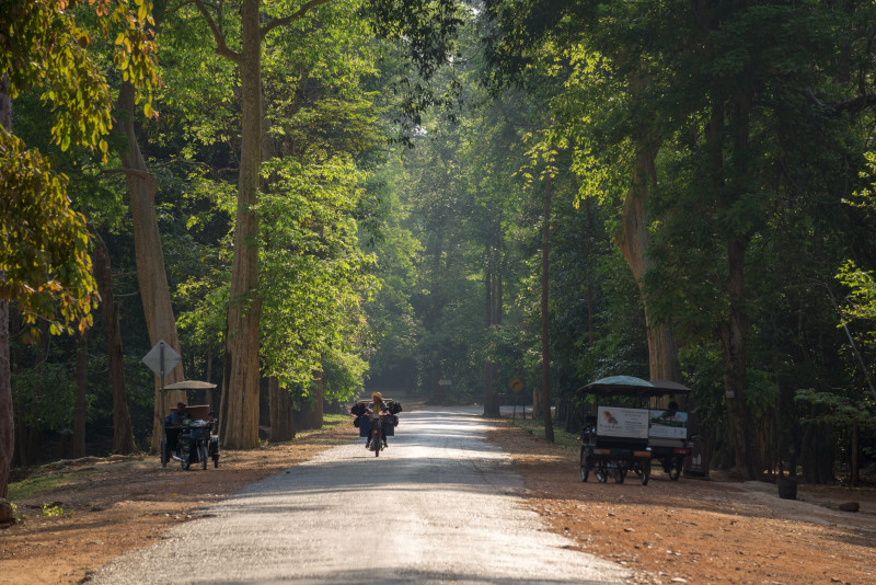 Angkor temples park - Angkor temples tours