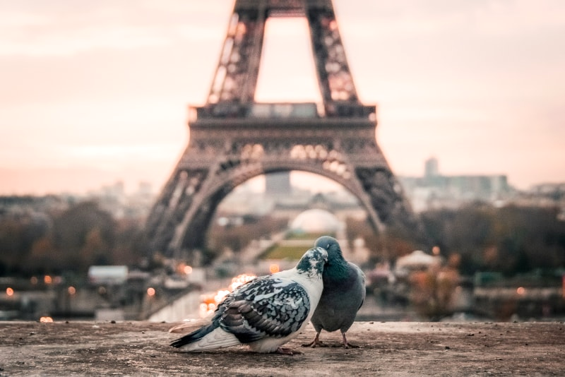 Visite Guidée de la Tour Eiffel – Comment Réserver ?