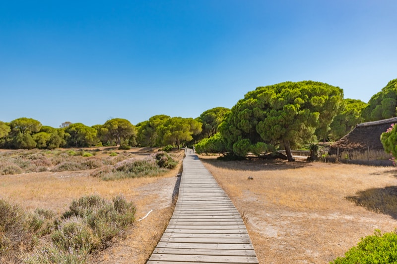 Doñana National Park - Sevilla Tagesausflug