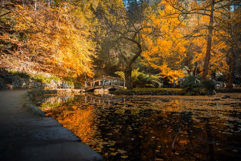 Alfred Nicholas Memorial Gardens day trips from Melbourne