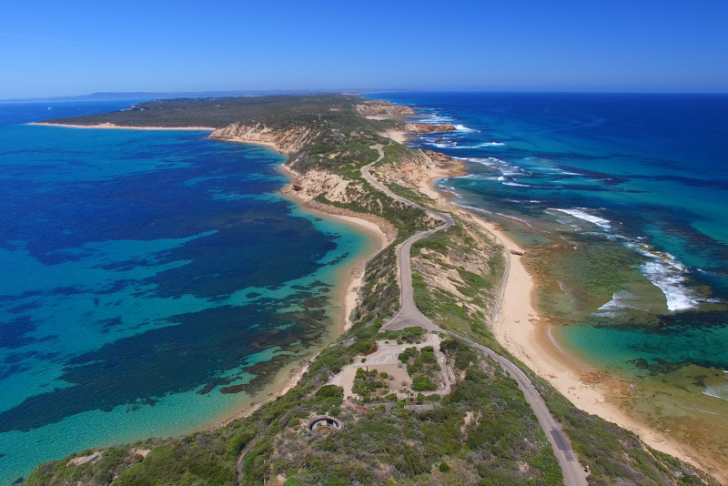 Mornington Peninsula day trips from Melbourne