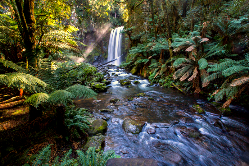 Great Otway National Park day trips from Melbourne