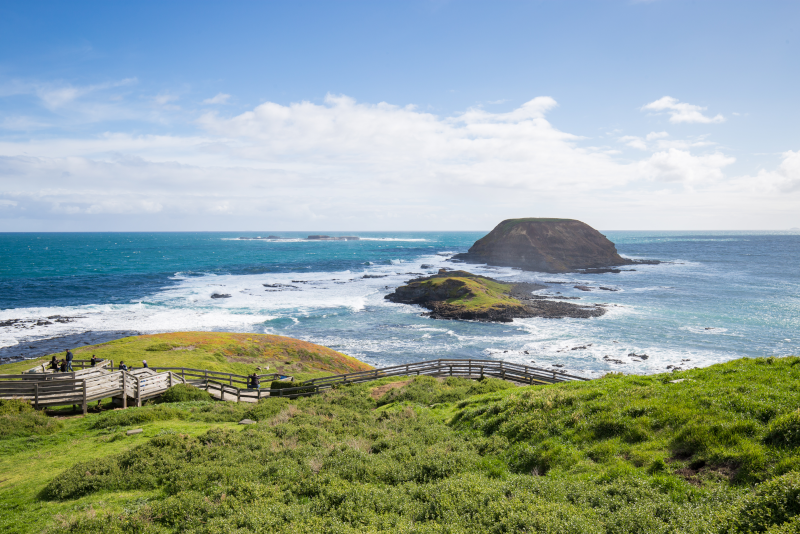 travel from melbourne to phillip island