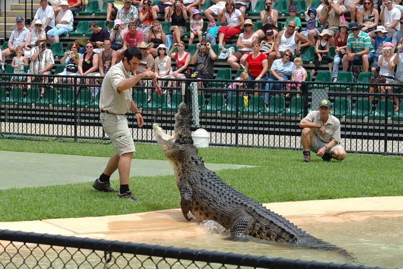 Australia Zoo - #22 Gold Coast theme parks