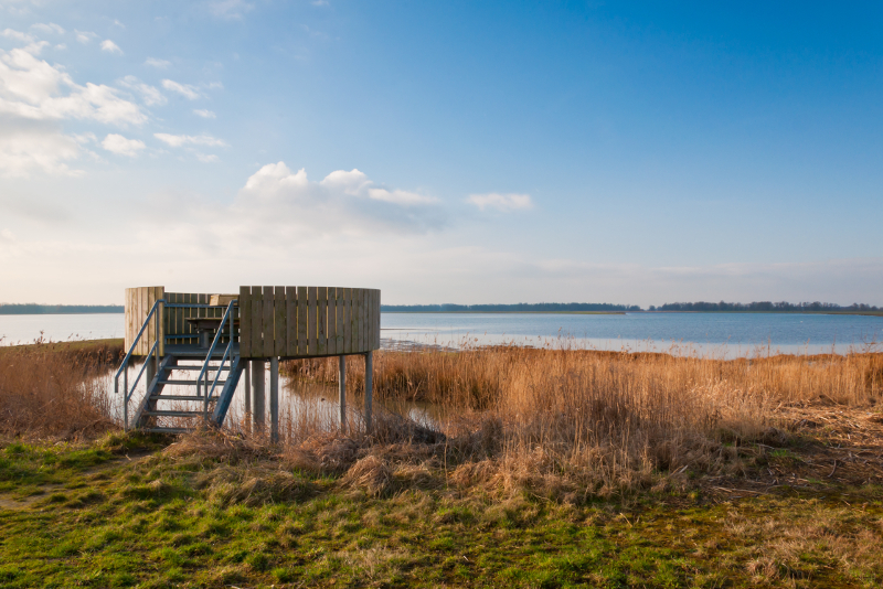 Die Biesbosch-Tagesausflüge ab Amsterdam