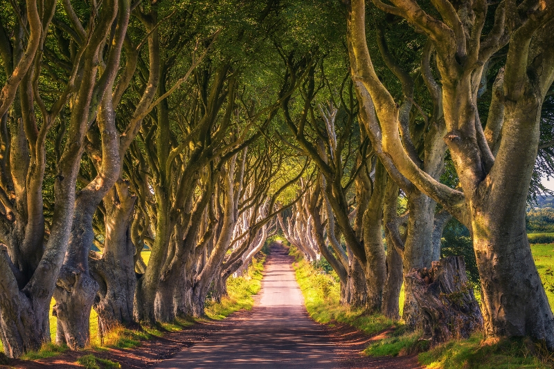 Locais de filmagem de Game of Thrones na Irlanda
