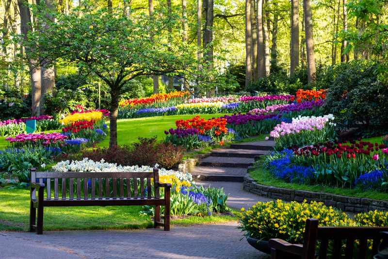 Tagesausflüge nach Keukenhof ab Amsterdam