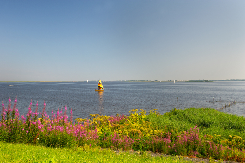 Tagesausflüge nach Lauwersmeer ab Amsterdam