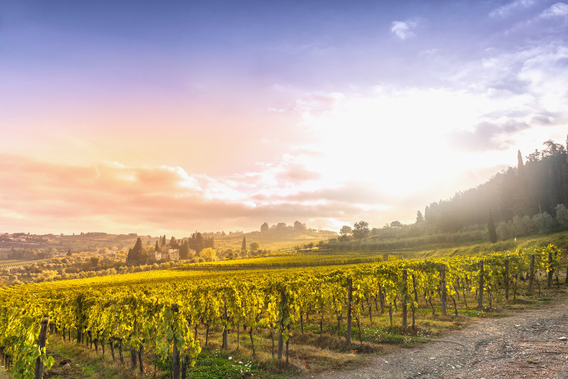 napa valley tours from san francisco
