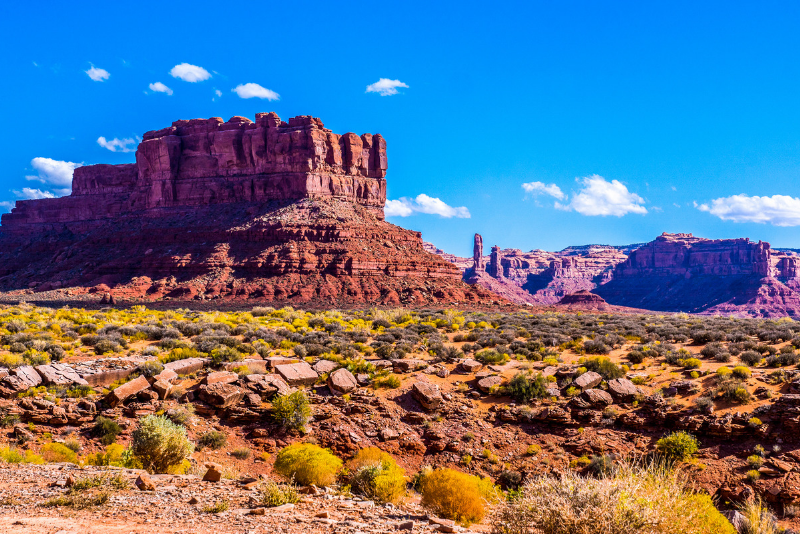 Red Rock Canyon National Park day trips from Las Vegas
