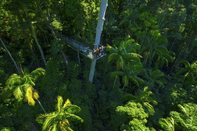 Tamborine Rainforest Skywalk - #17 Gold Coast theme parks