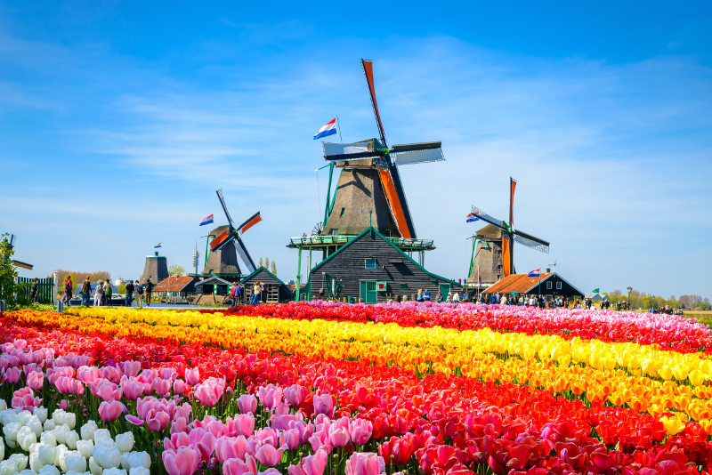 Zaanse Schans day trips from Amsterdam