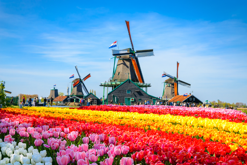 Tagesausflüge nach Zaanse Schans ab Amsterdam