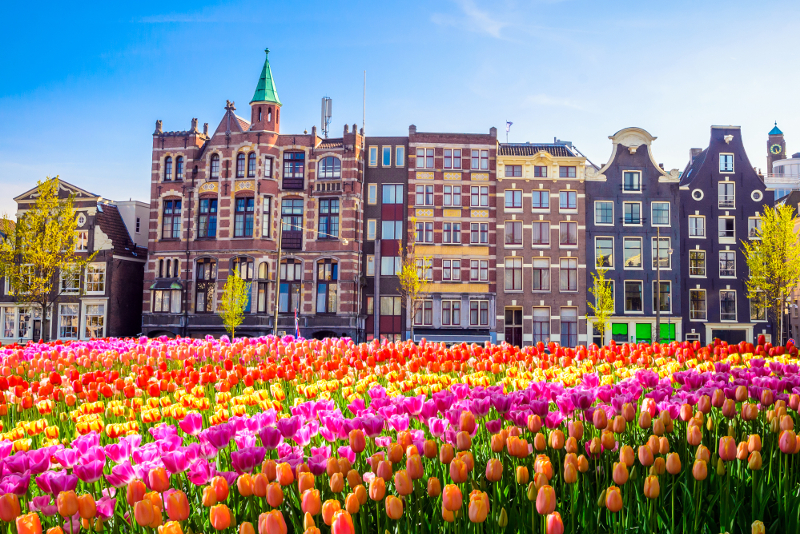 best day trips from Amsterdam
