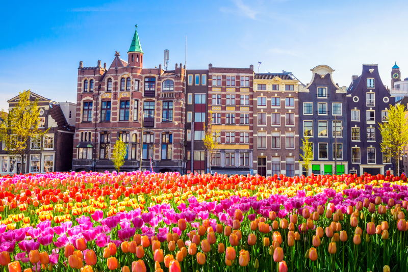 4 day trip amsterdam