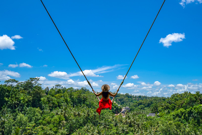 Ubud Jungle Swing Private Tour