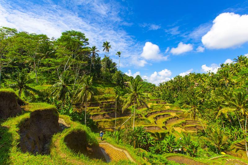 Bali Full-Day Traditional Village Sightseeing Trip with Lunch