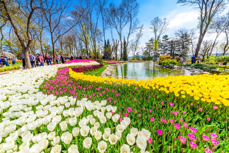 Emirgan Park day trips from Istanbul