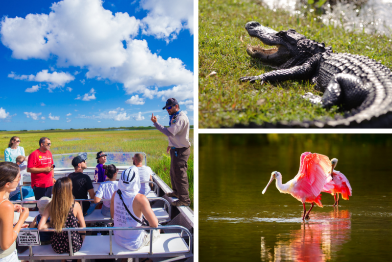 miami everglades excursions