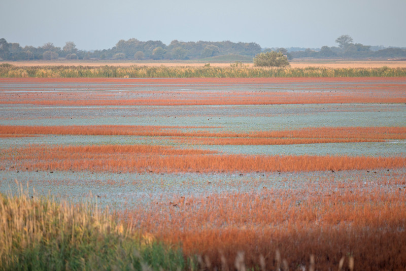 Kiskunsag Nationalpark