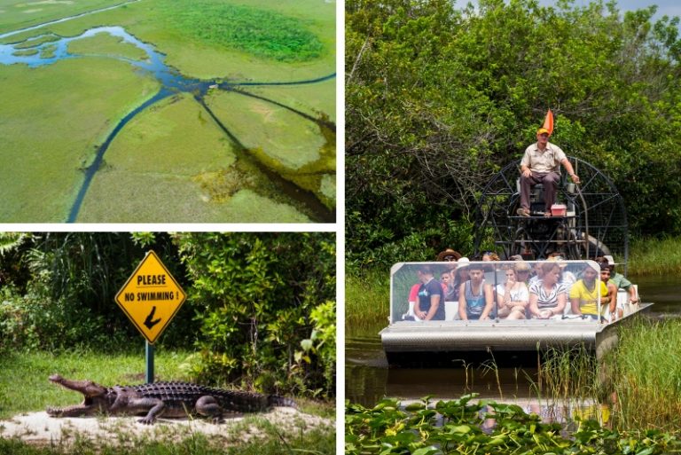 everglade tours kissimmee