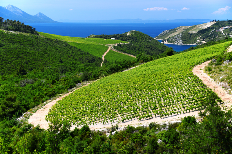 Konavle Valley day trips from Dubrovnik