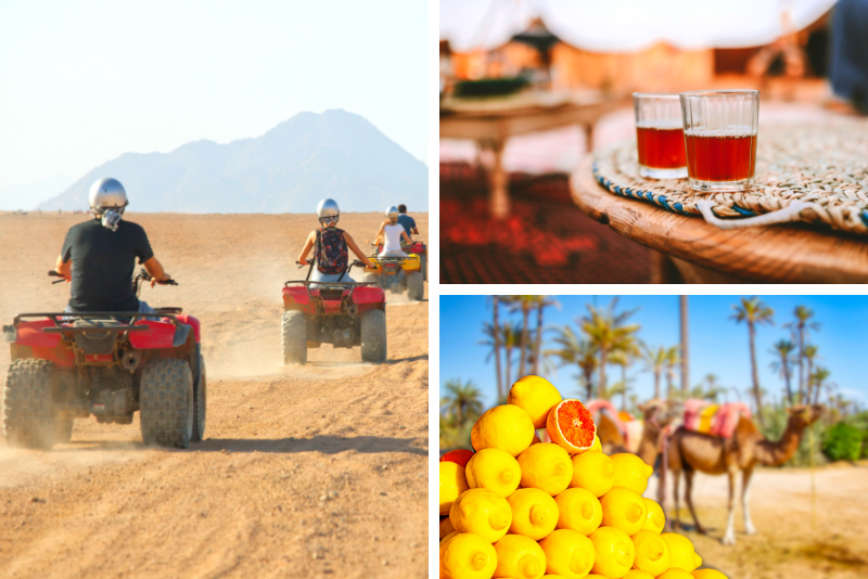 Marrakech: Half-Day Desert Quad & Dromedary Tour