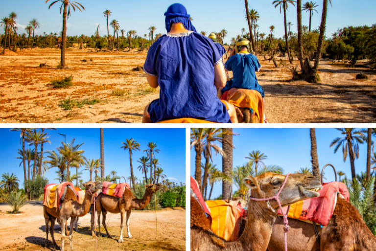tour desierto desde marrakech