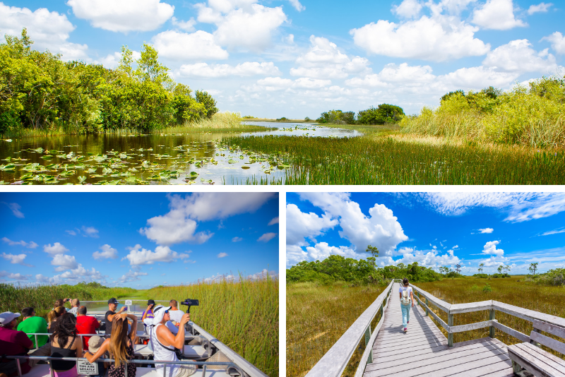 Orlando: visite des Everglades en hydroglisseur de 2 heures