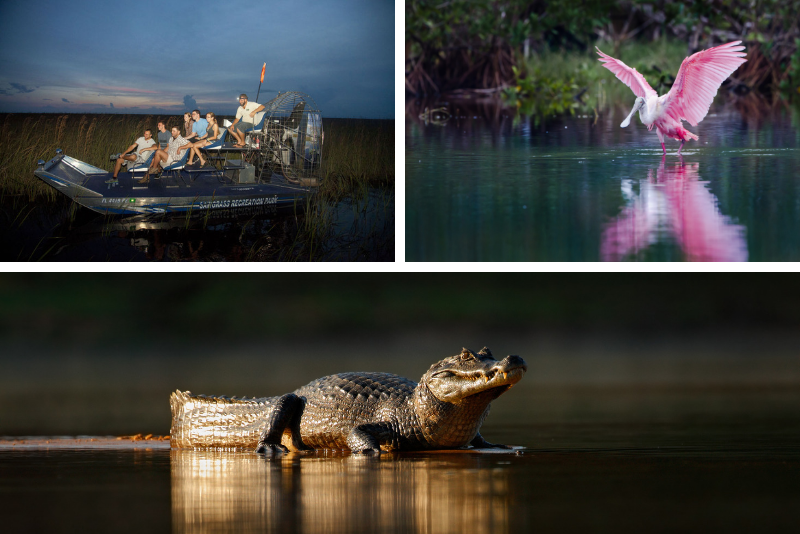 Orlando: excursion en hydroglisseur dans les Everglades au clair de lune