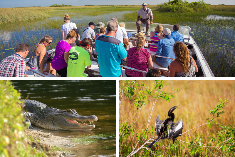 Orlando: parc de bateau-taxi et parc animalier Wild Florida Everglades