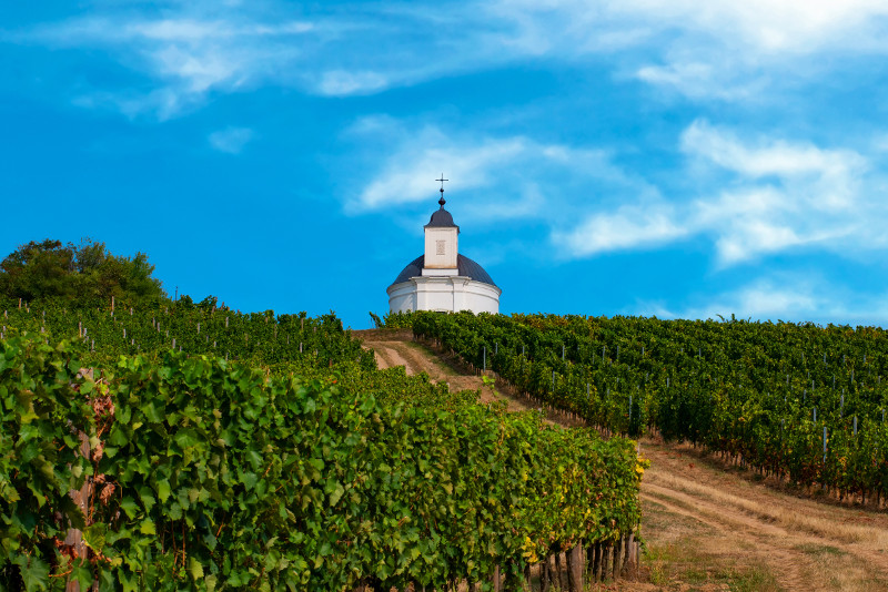 Excursiones de un día a Tokaj desde Budapest