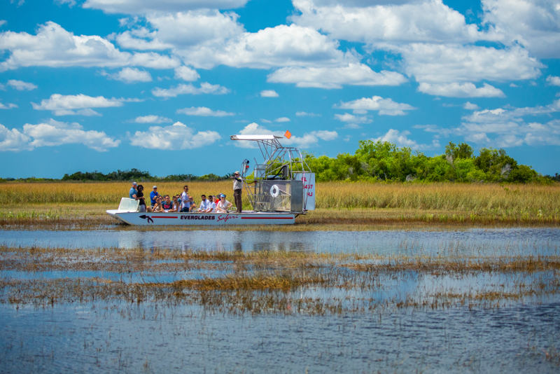 best tour in the everglades