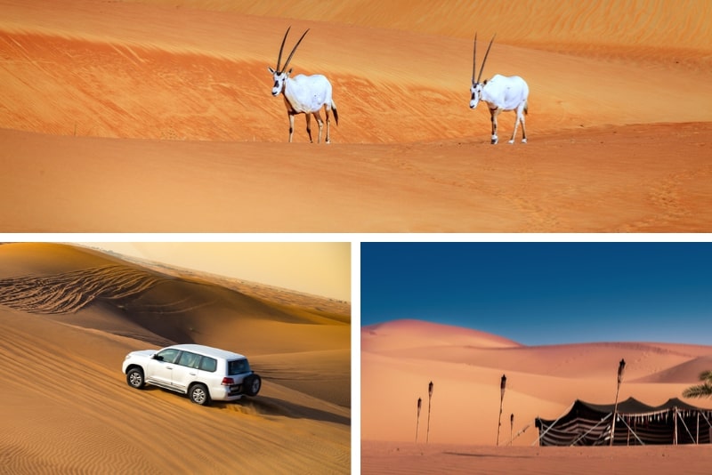 Safari VIP de lujo en el desierto
