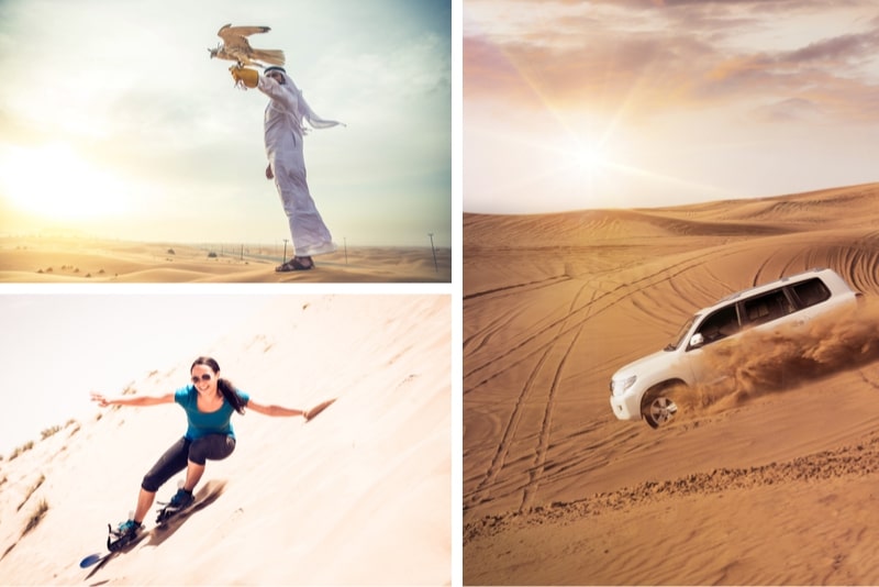 Premium Safari nel deserto con barbecue, falconeria, giro in cammello e sandboarding