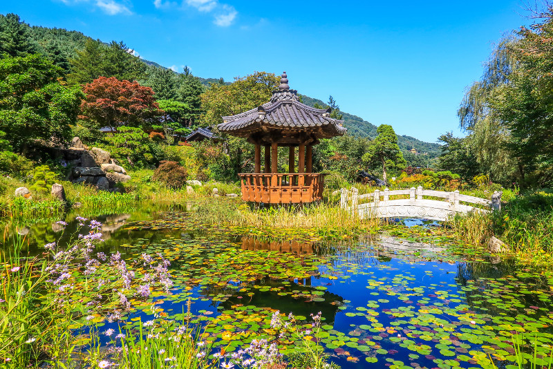 Garden of Morning Calm day trips from Seoul