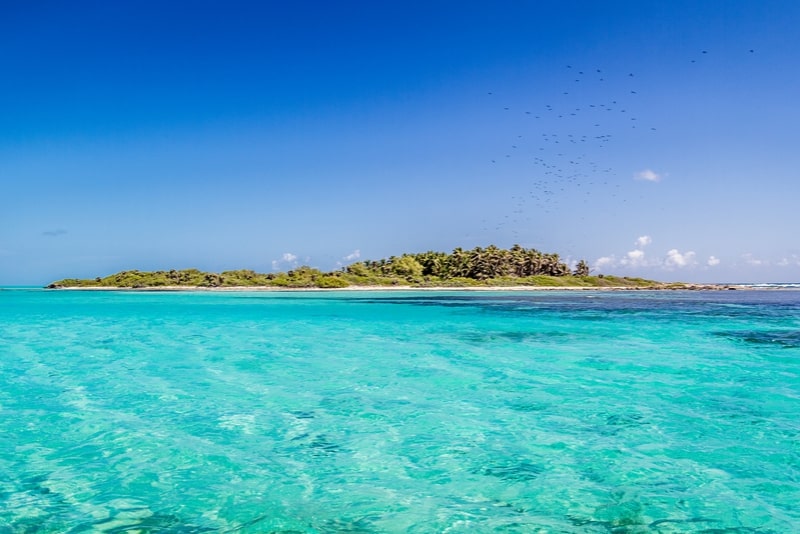 Isla Contoy - excursiones en Cancún