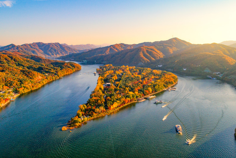 Nami Island day trips from Seoul