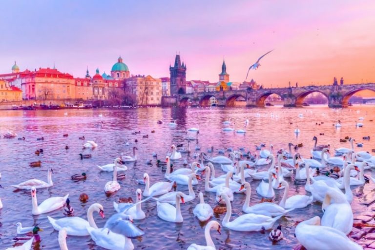 Prague River Cruises - Which One Is Best?