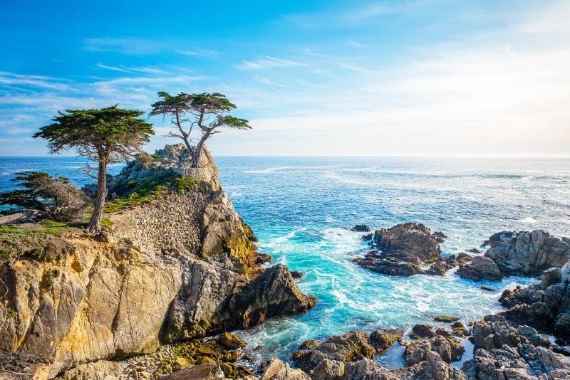 Monterey, Carmel y 17-Mile Drive: tour de día completo desde San Francisco