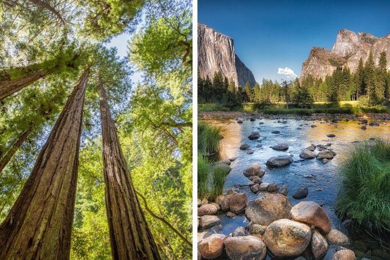 Excursión de un día al Parque Nacional Yosemite y a las Secuoyas Gigantes desde San Francisco