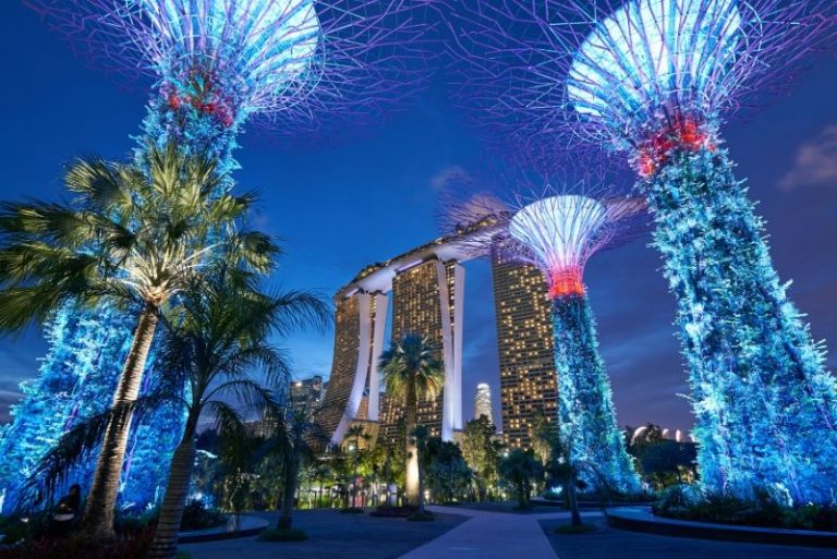 Gardens By The Bay Tickets Price - All You Need To Know 2024 - TourScanner