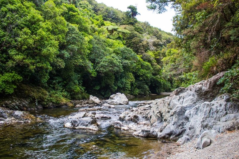 Kaitoke Regional Park, New Zealand