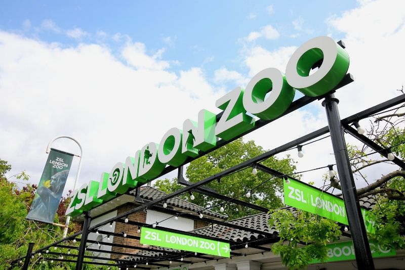 Cheap London Zoo Tickets Save up to 30