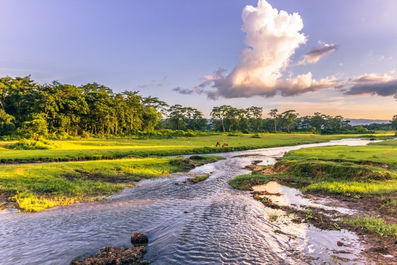 Chitwan National Park, Nepal - best national parks in the world