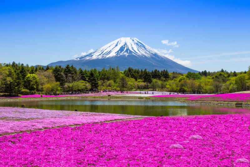 Parc national de Fuji Hakone Izu, Japon - meilleurs parcs nationaux du monde