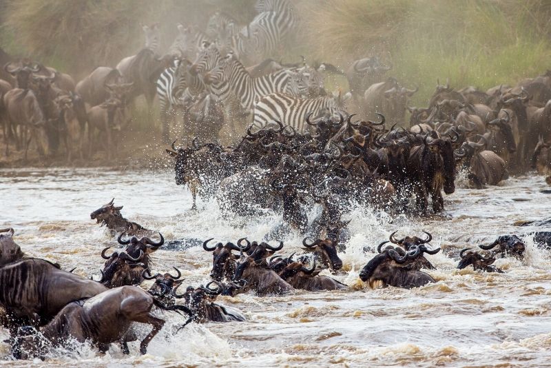 Maasai Mara National Park, Kenya - best national parks in the world